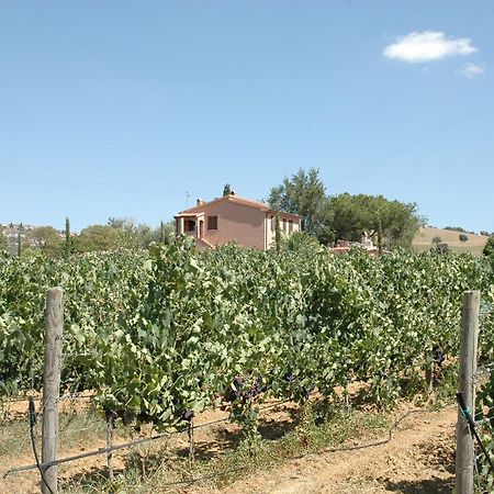 Agriturismo Pian Dei Pini Montiano  Extérieur photo