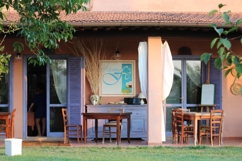 Agriturismo Pian Dei Pini Montiano  Extérieur photo